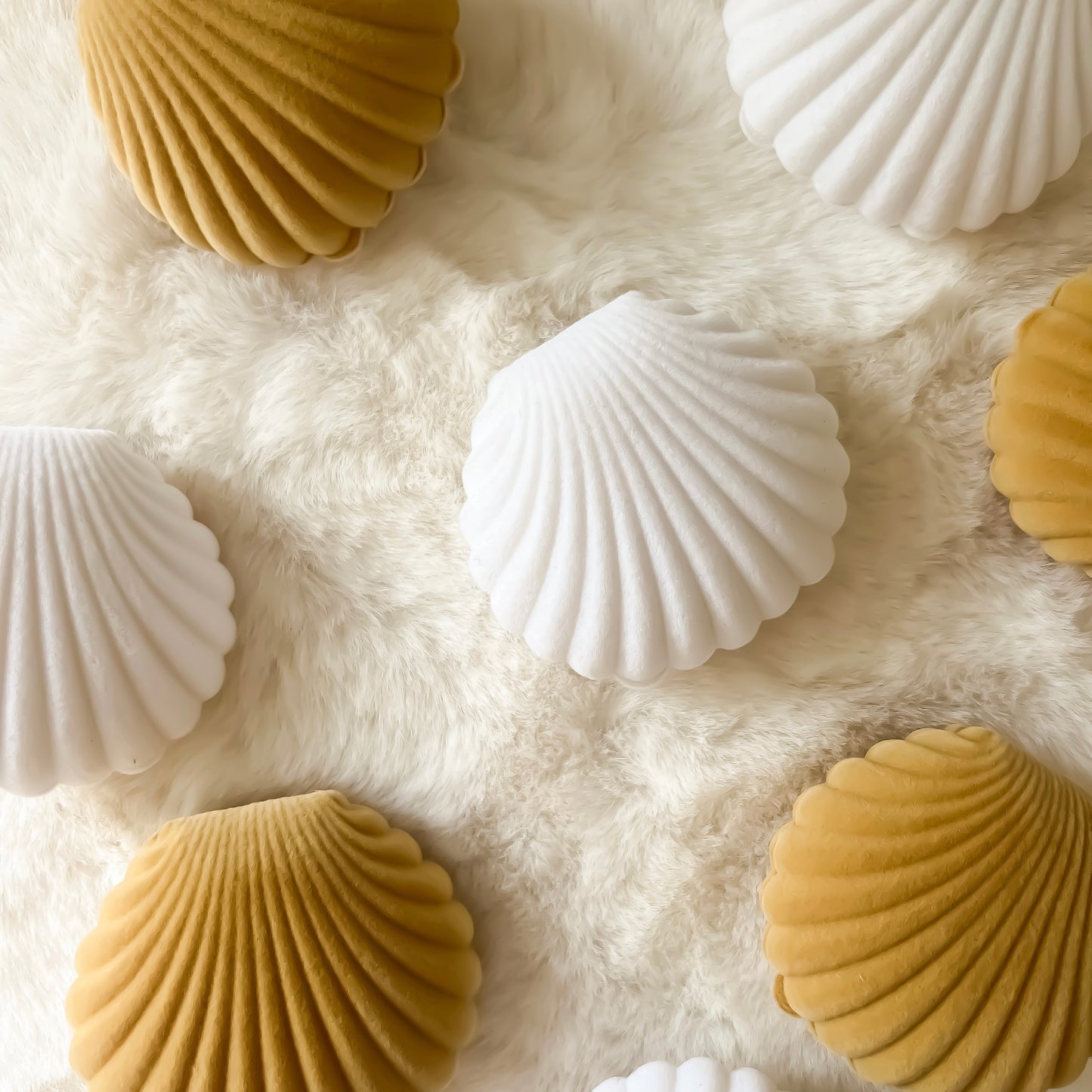 Shell Gift Box