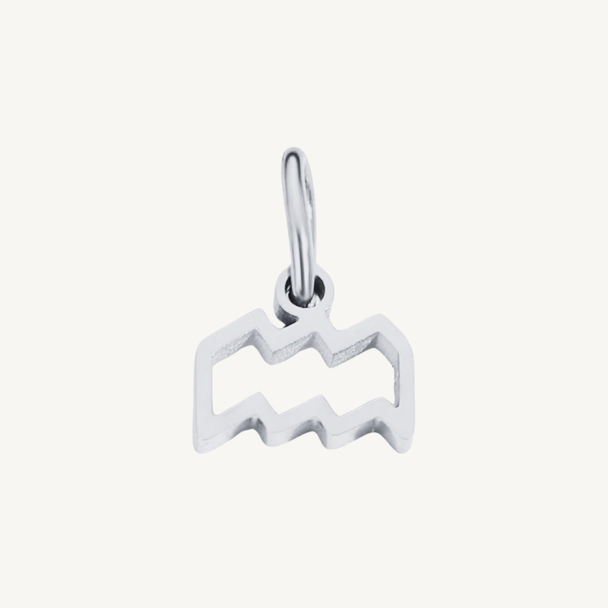 Zodiac Sign Charms