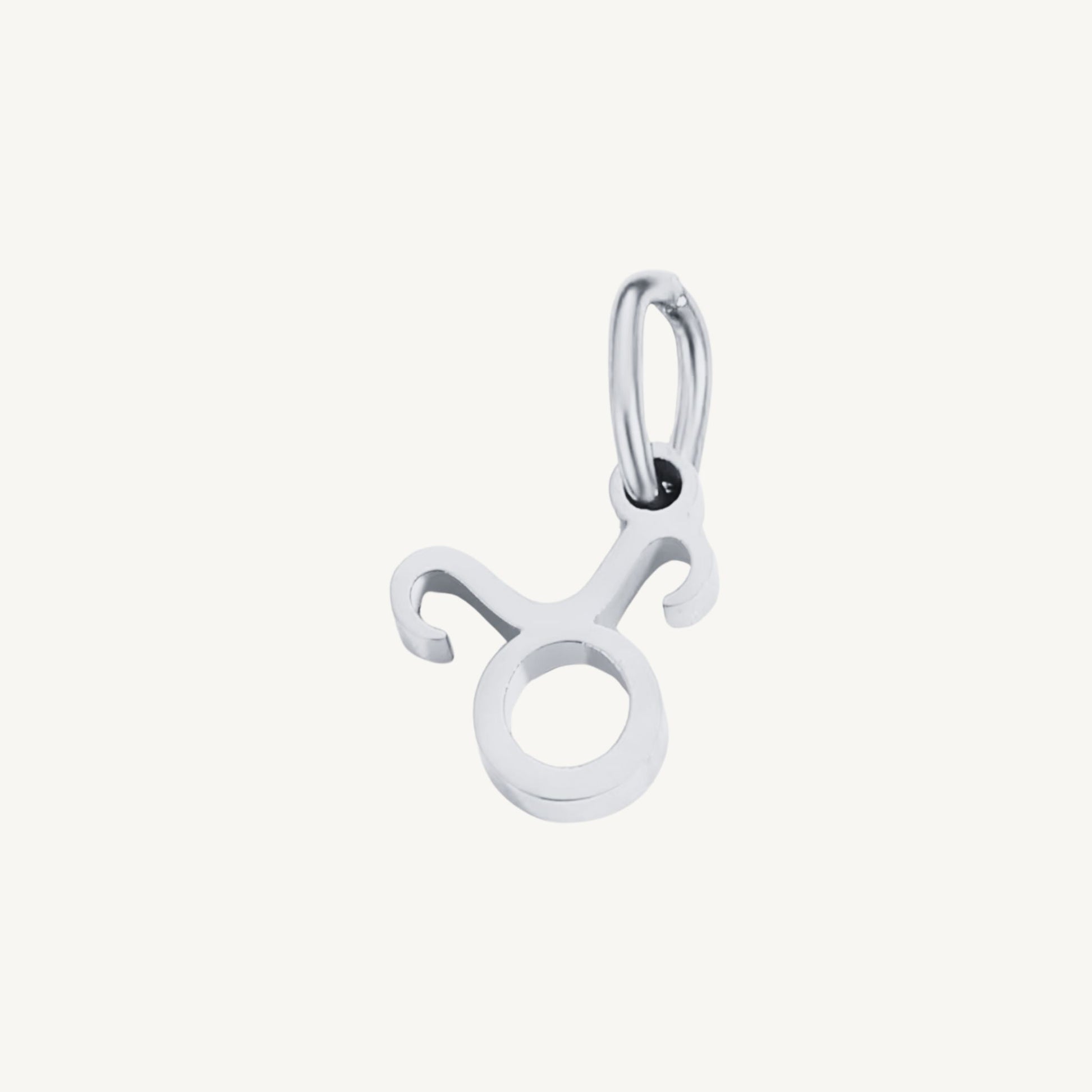 Zodiac Sign Charms