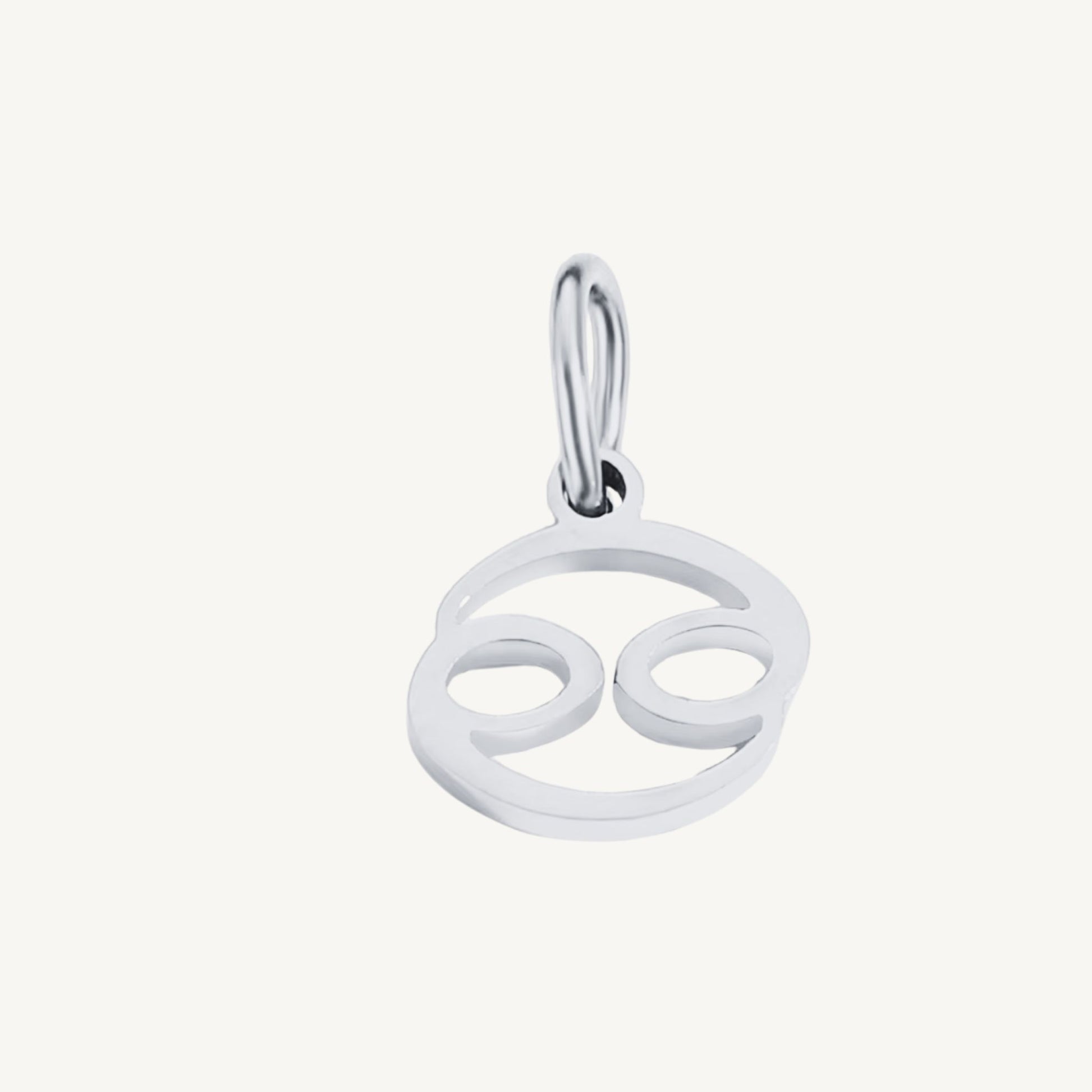 Zodiac Sign Charms