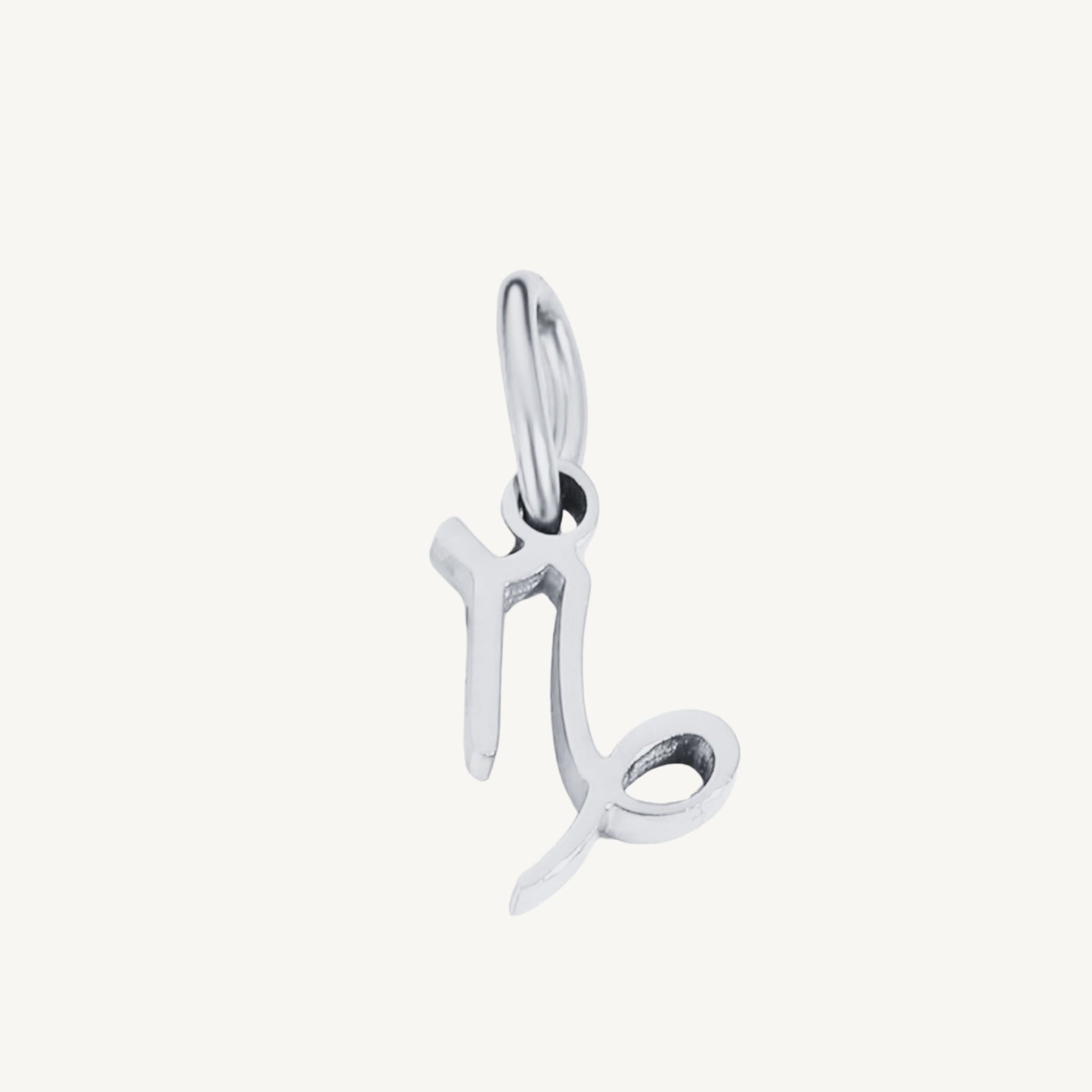 Zodiac Sign Charms