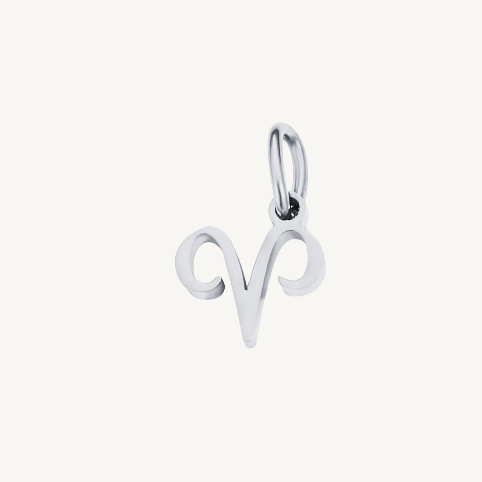 Zodiac Sign Charms