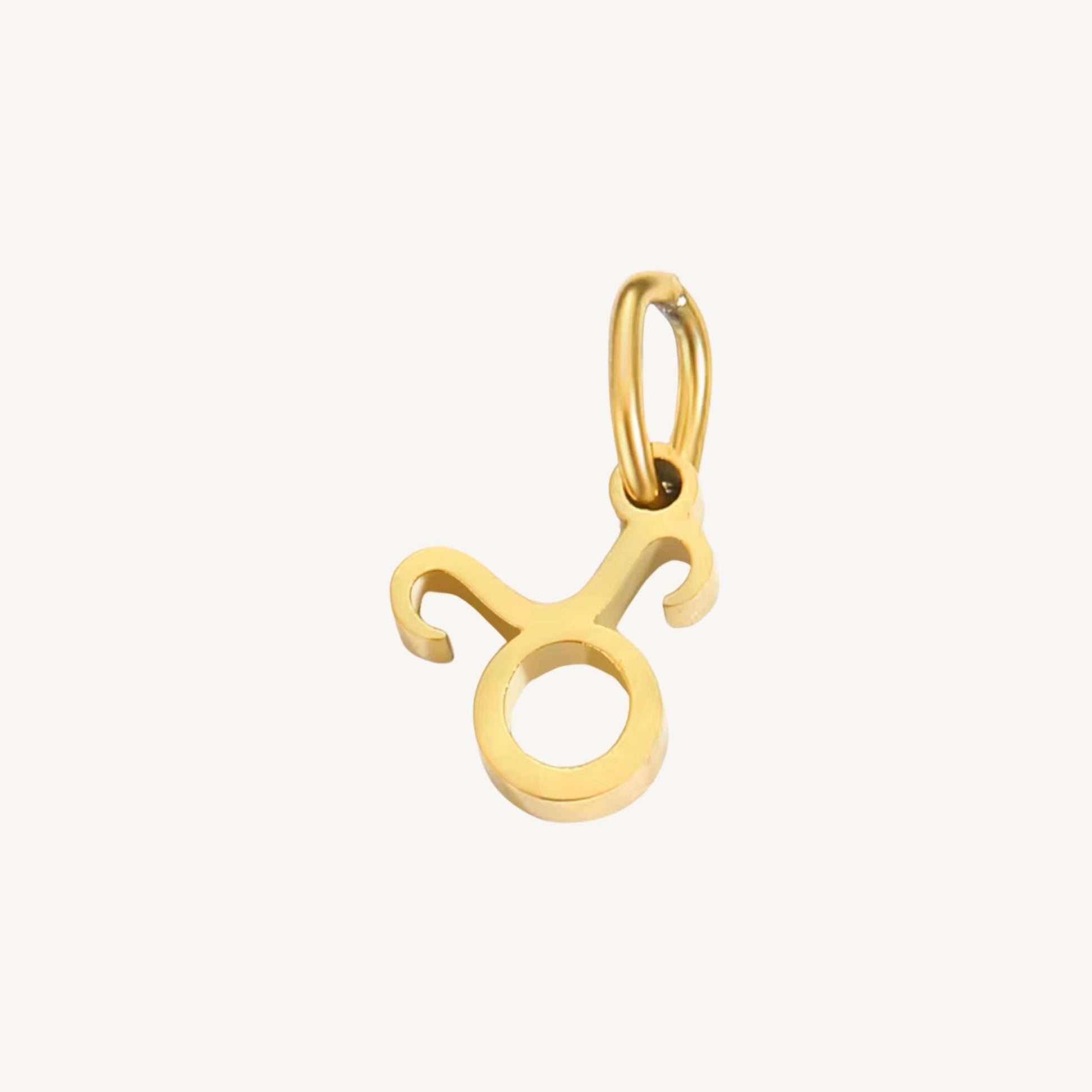 Zodiac Sign Charms