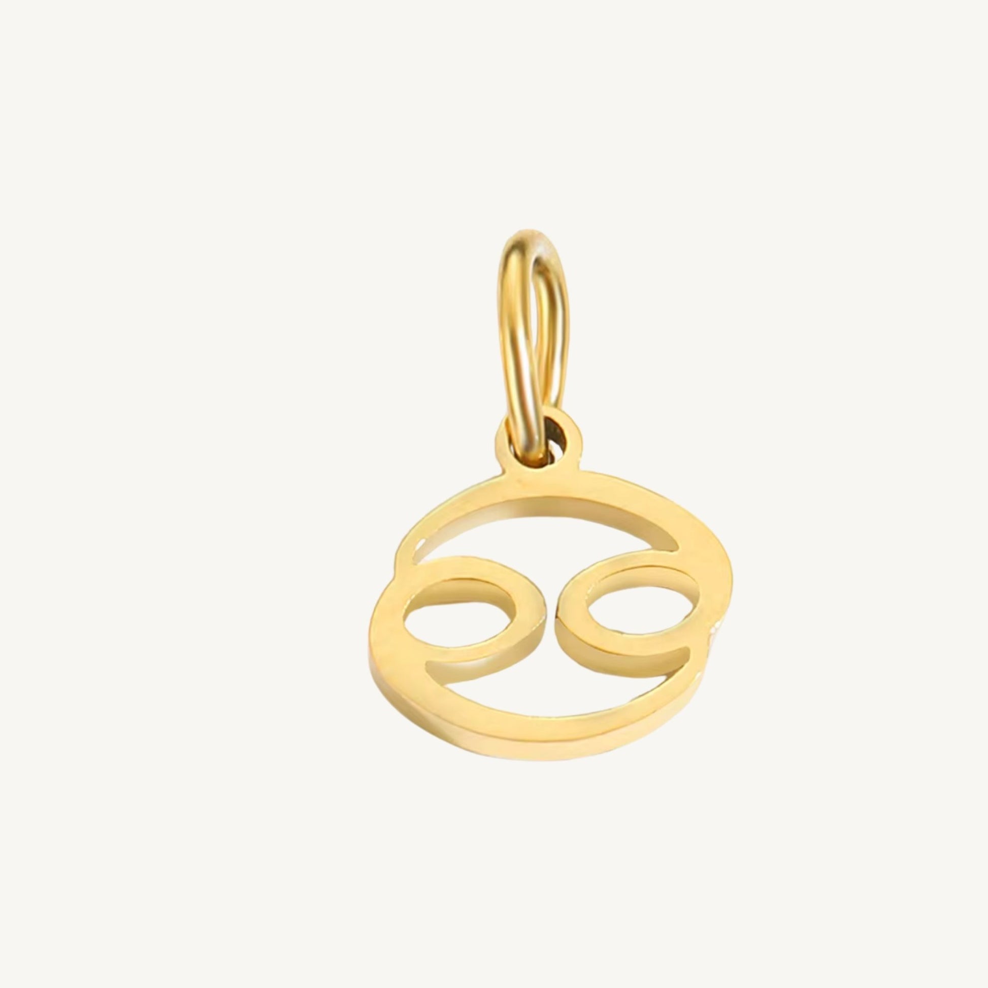 Zodiac Sign Charms