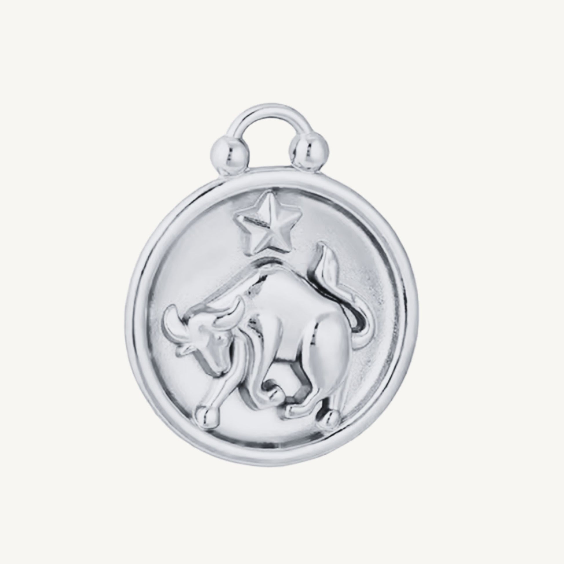 Zodiac Charms