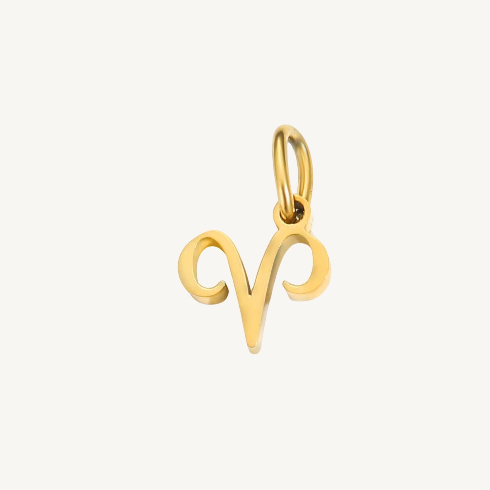 Zodiac Sign Charms