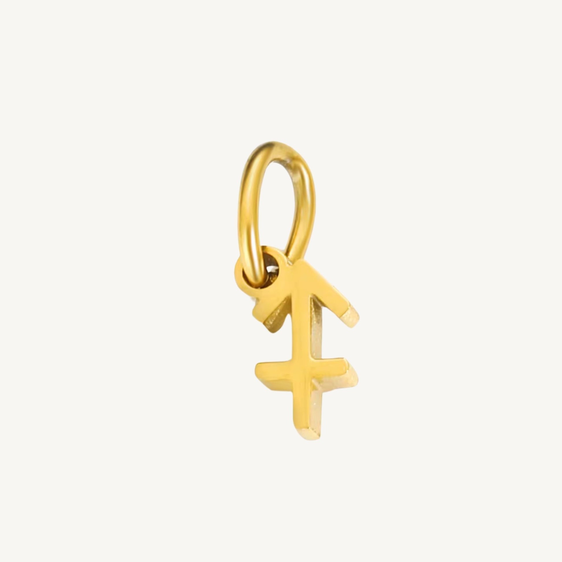 Zodiac Sign Charms