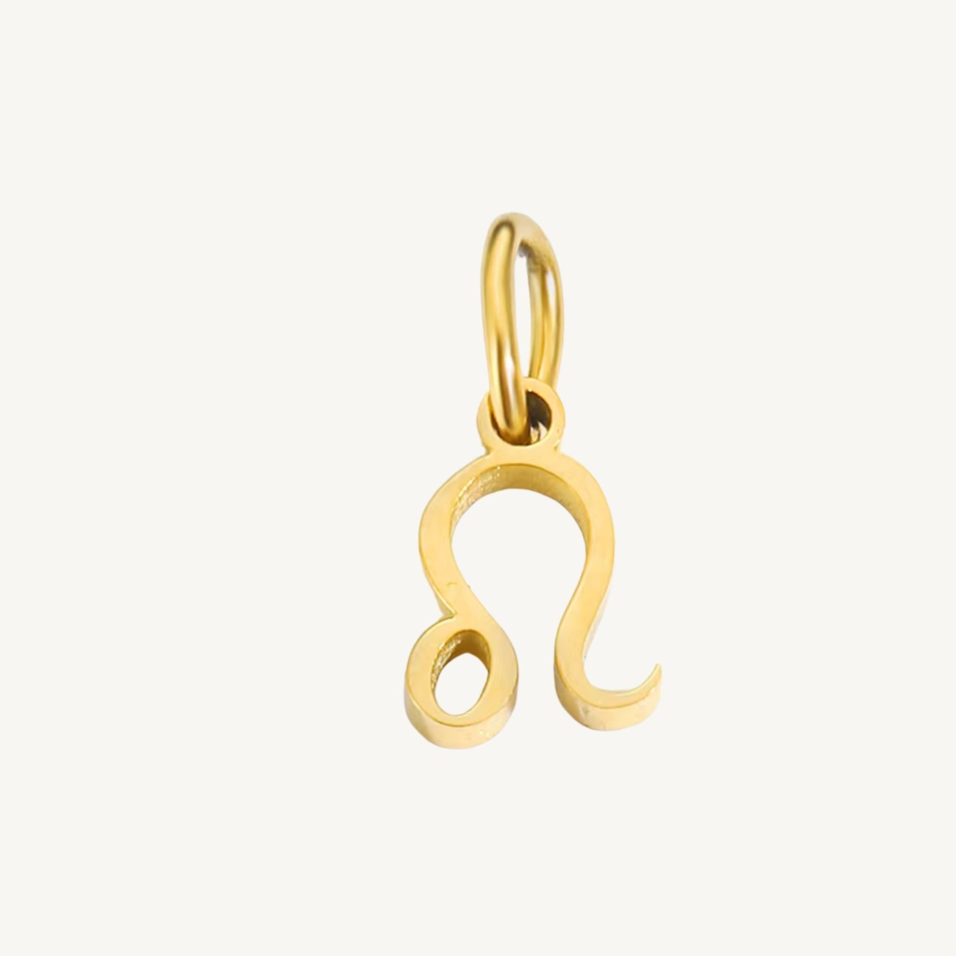 Zodiac Sign Charms