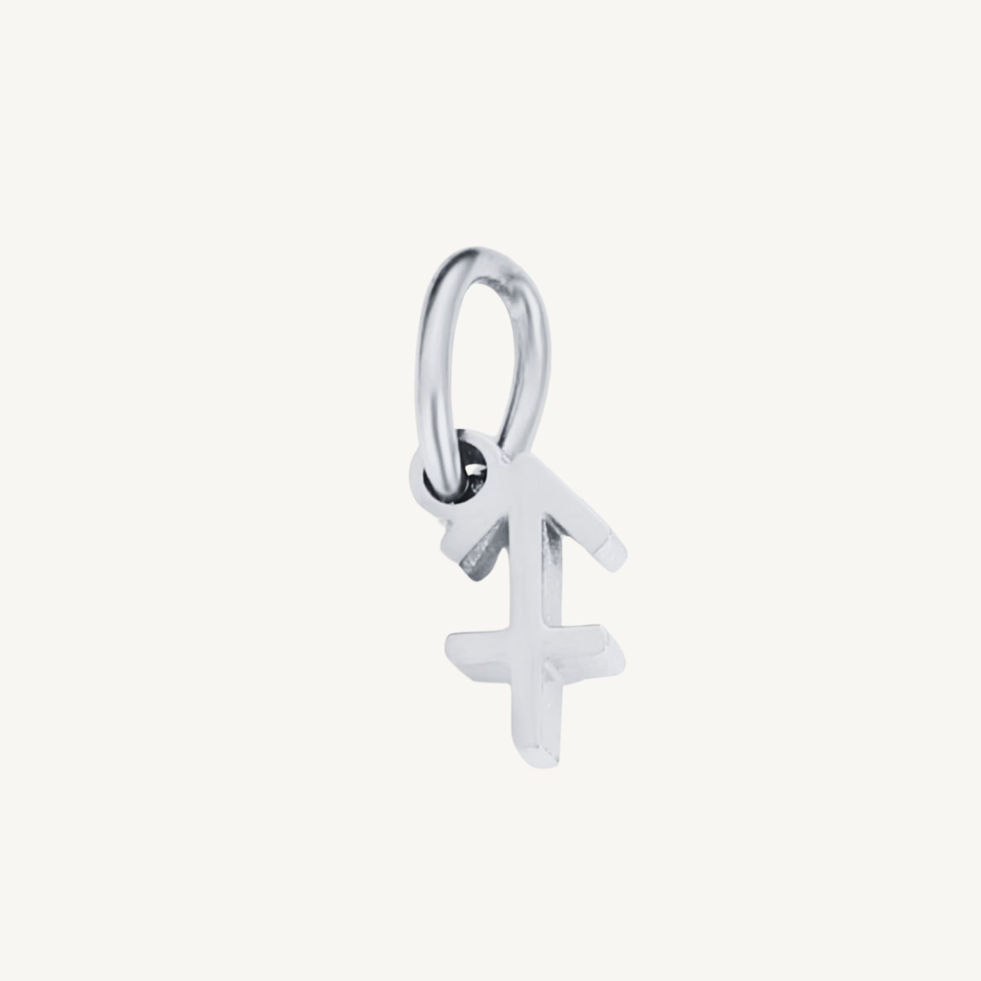 Zodiac Sign Charms