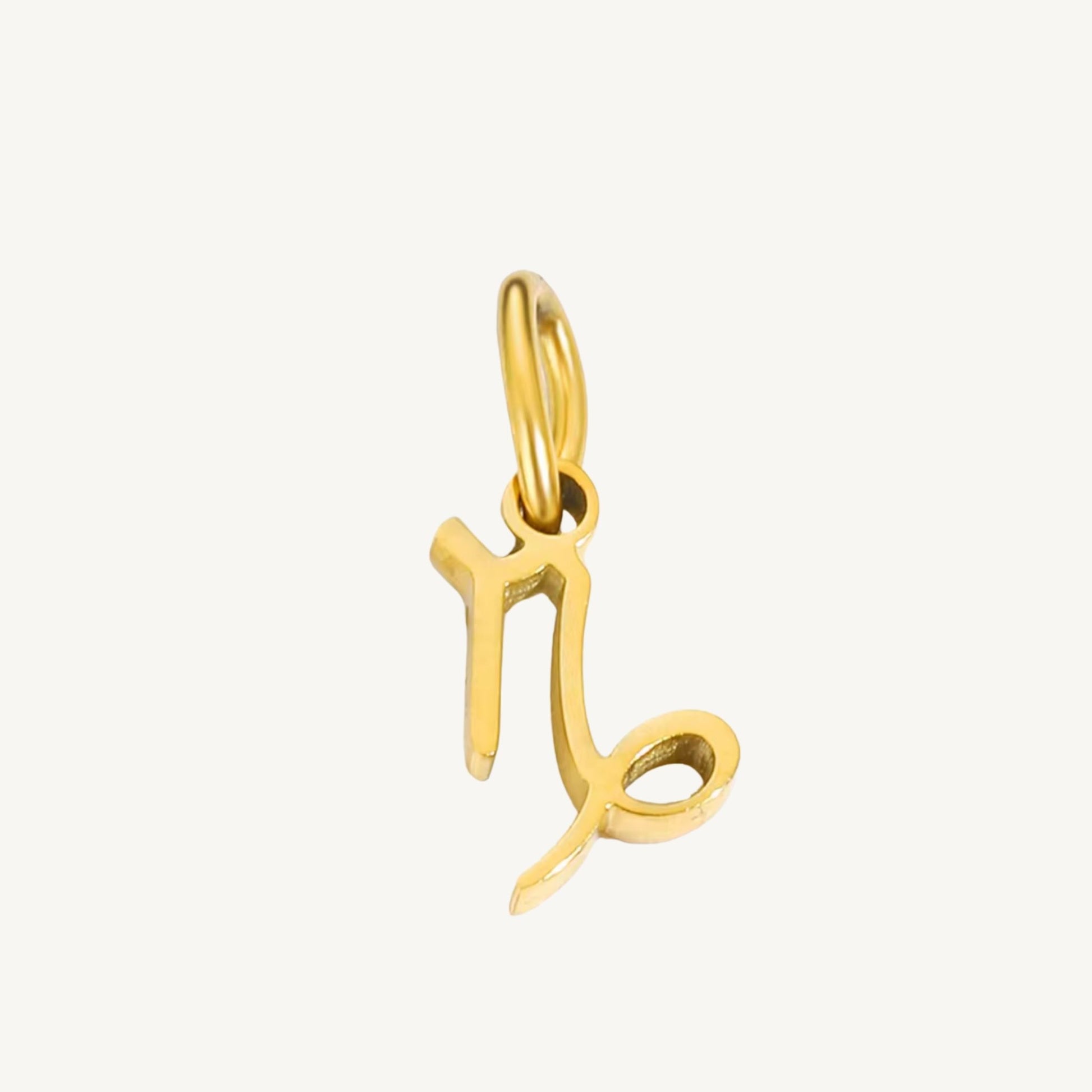 Zodiac Sign Charms