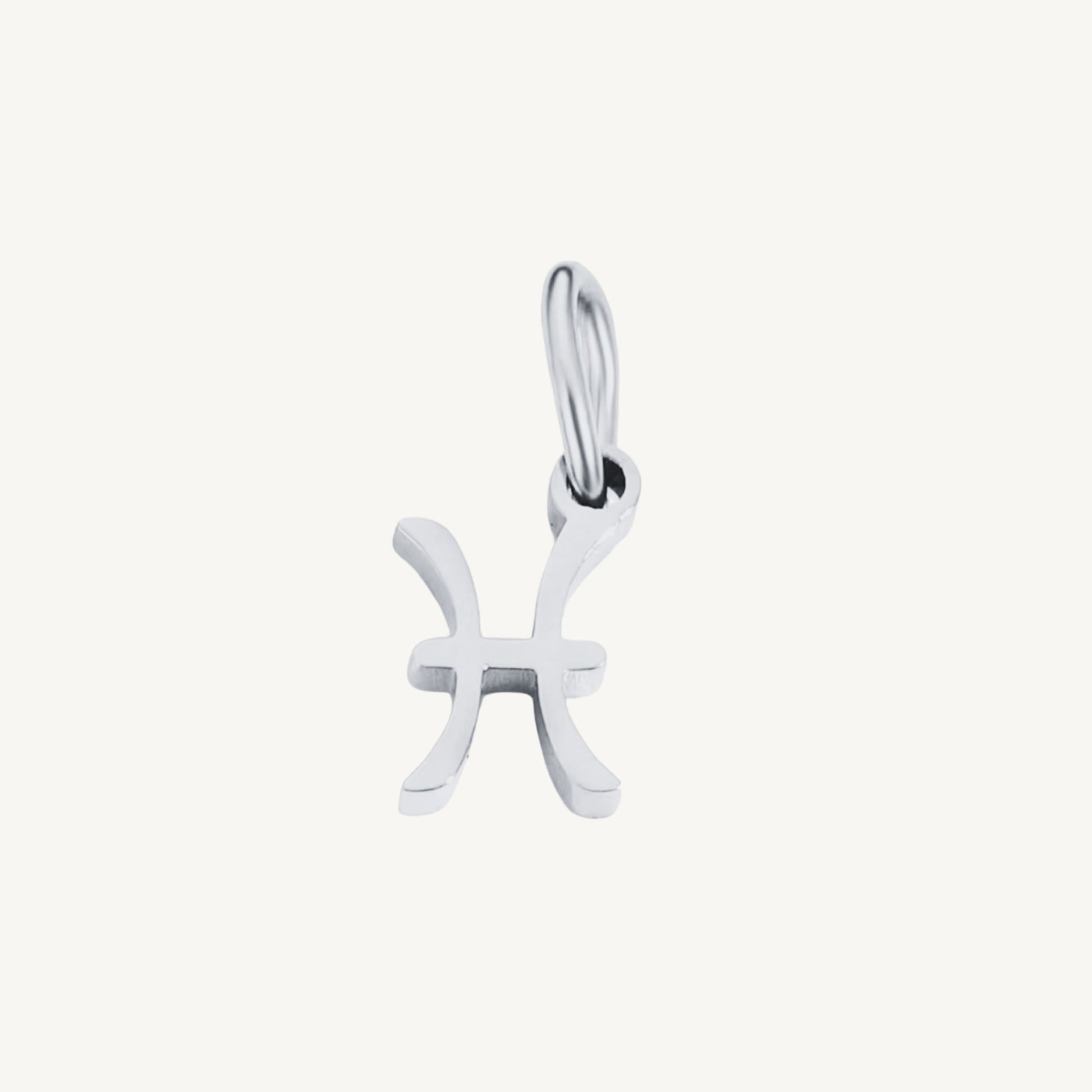 Zodiac Sign Charms