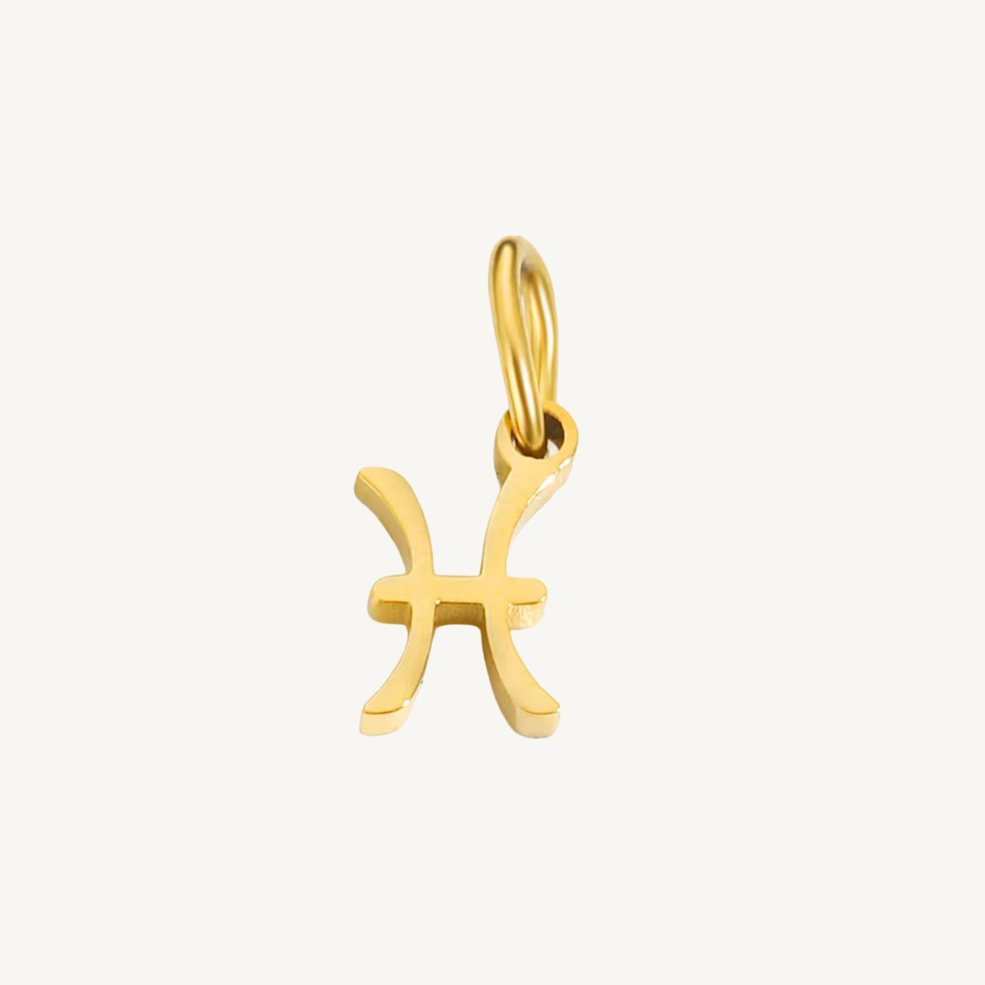 Zodiac Sign Charms