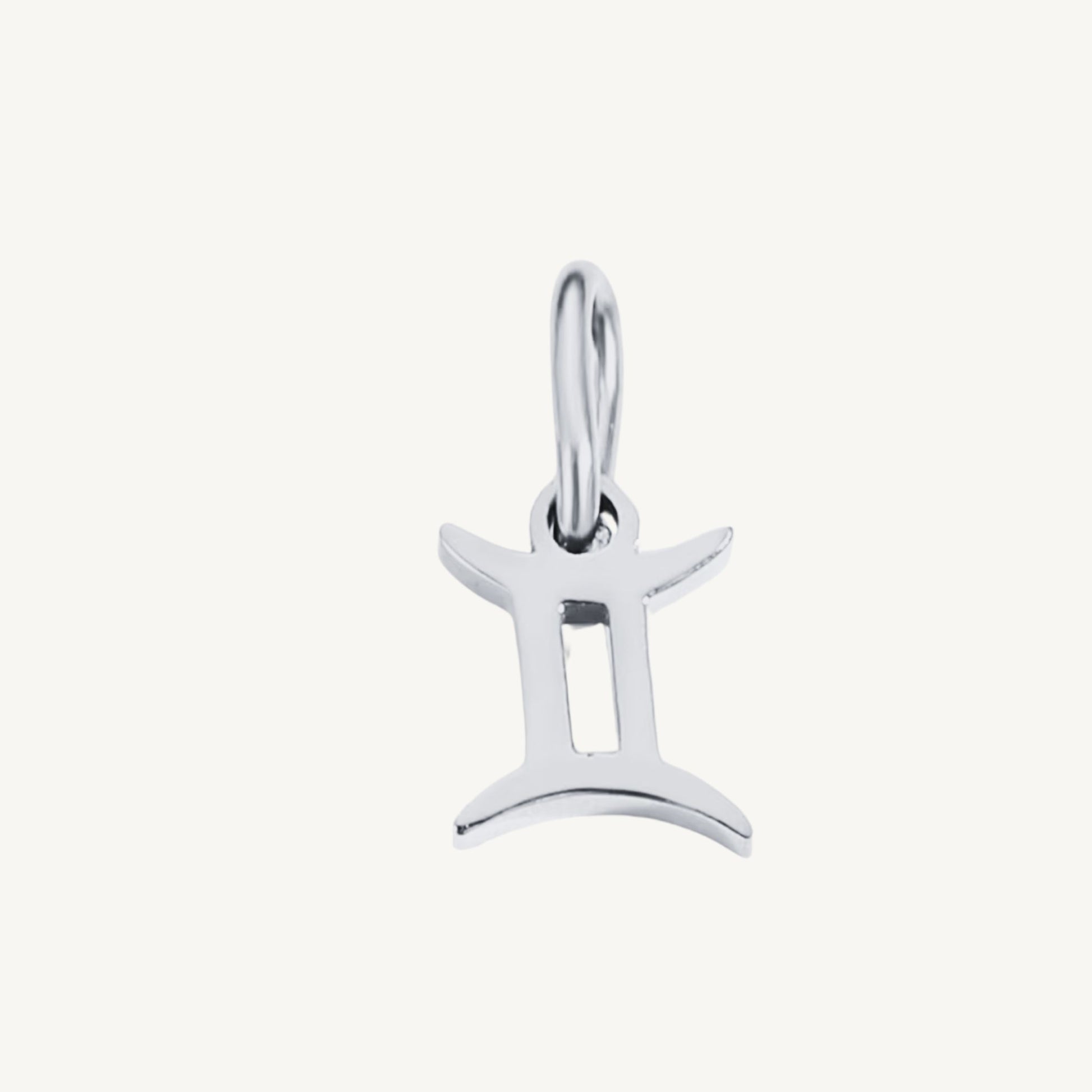 Zodiac Sign Charms