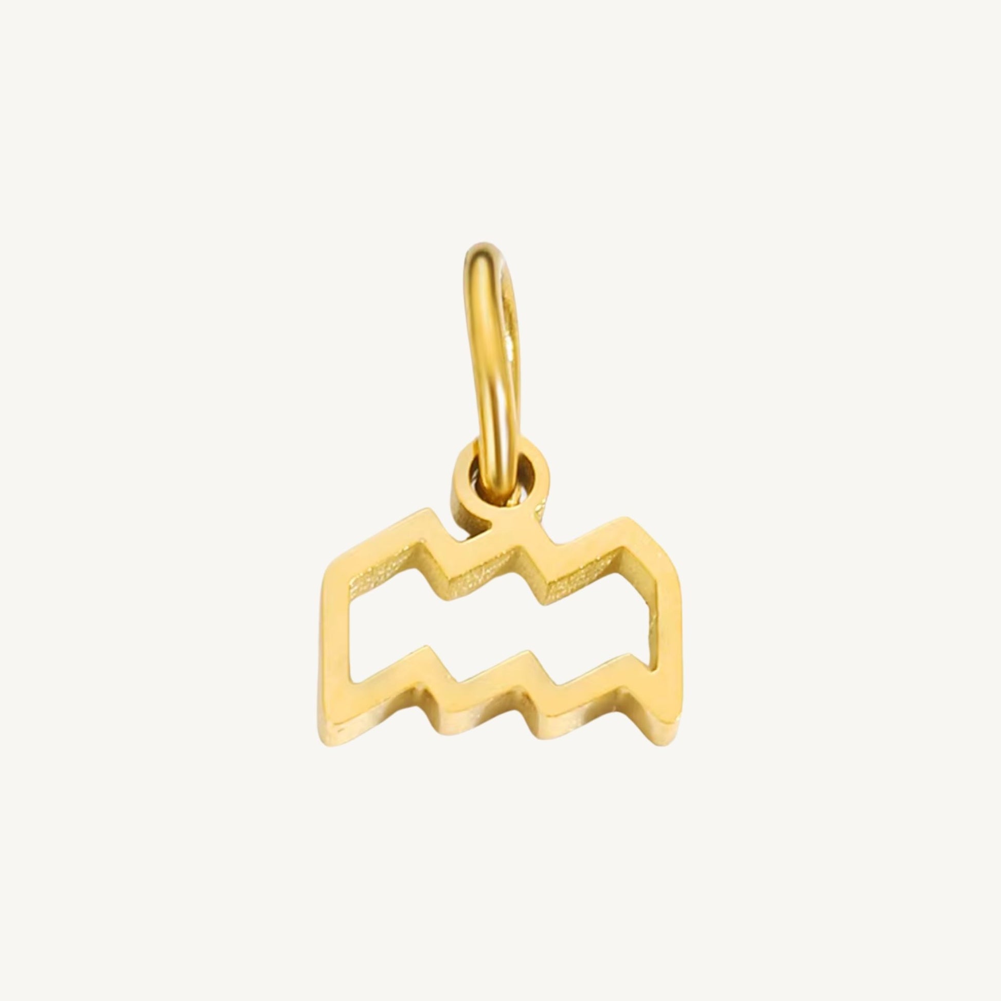 Zodiac Sign Charms