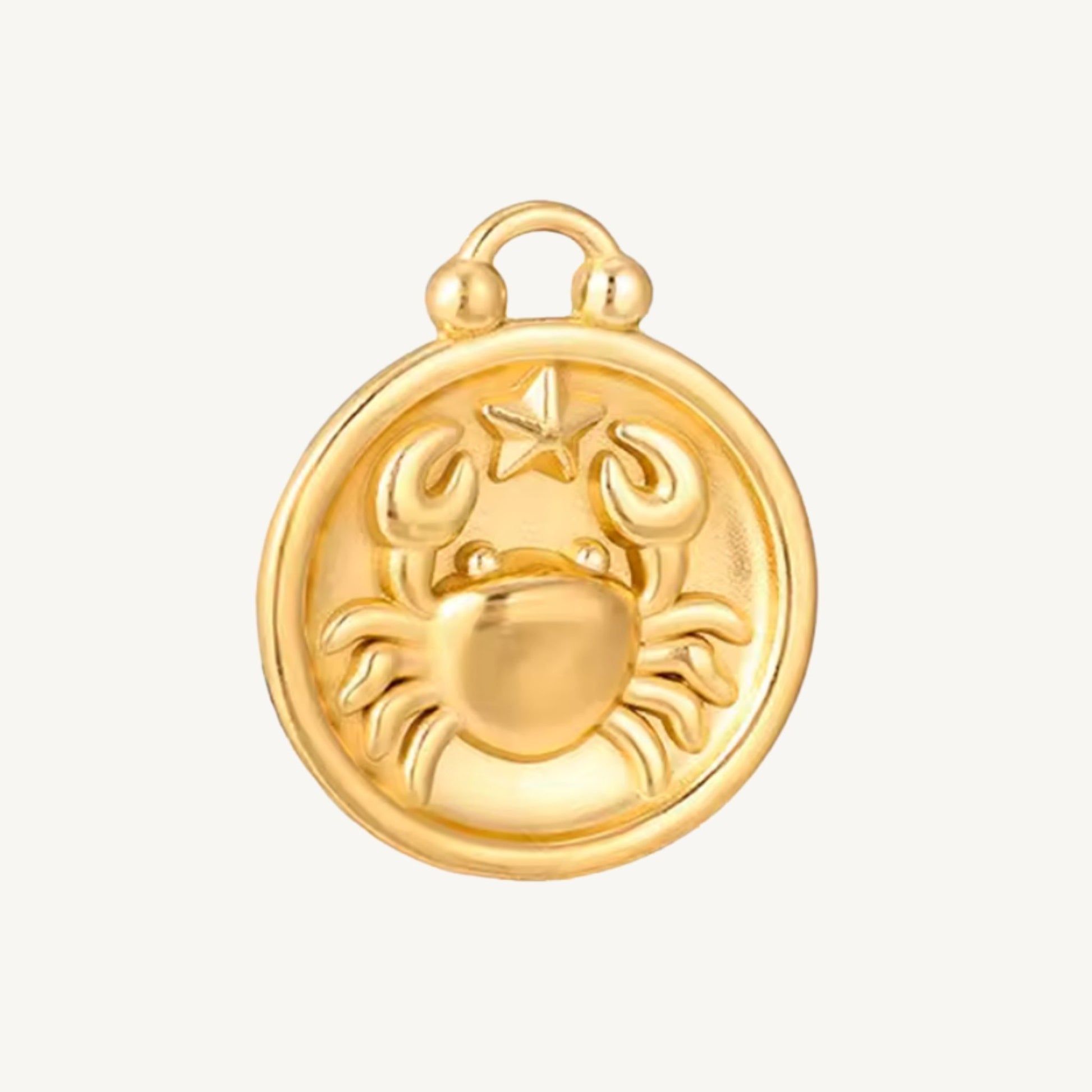 Zodiac Charms