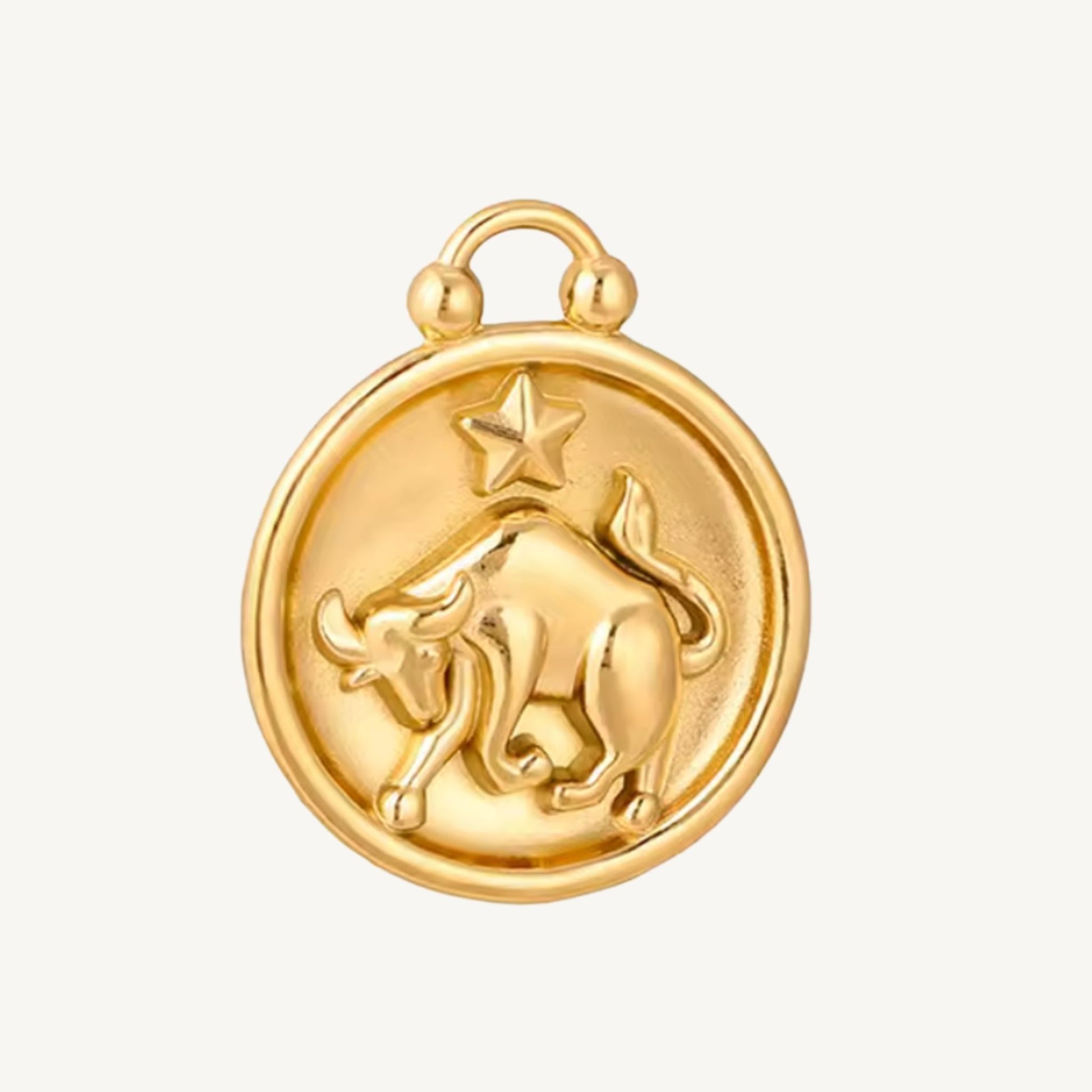 Zodiac Charms
