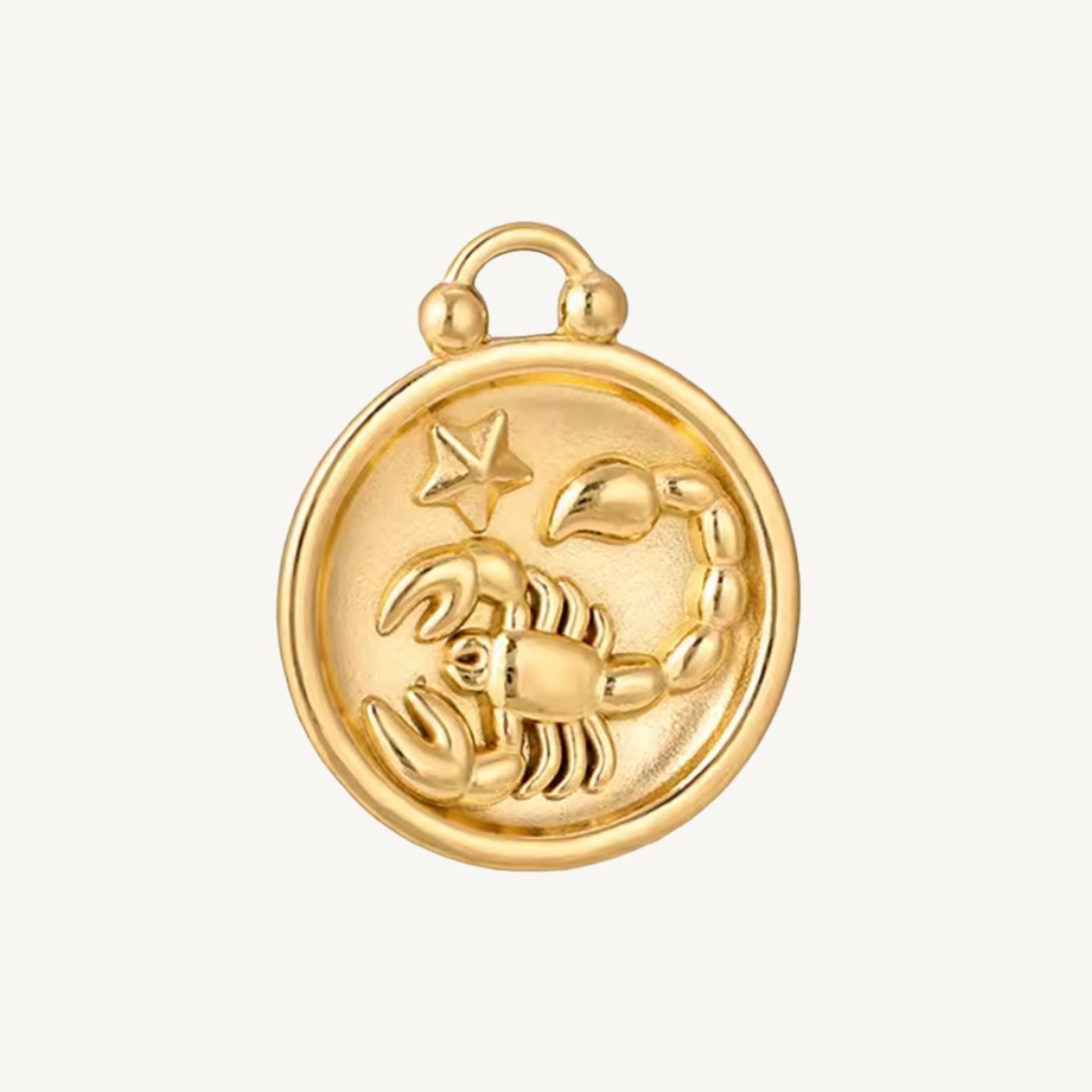 Zodiac Charms