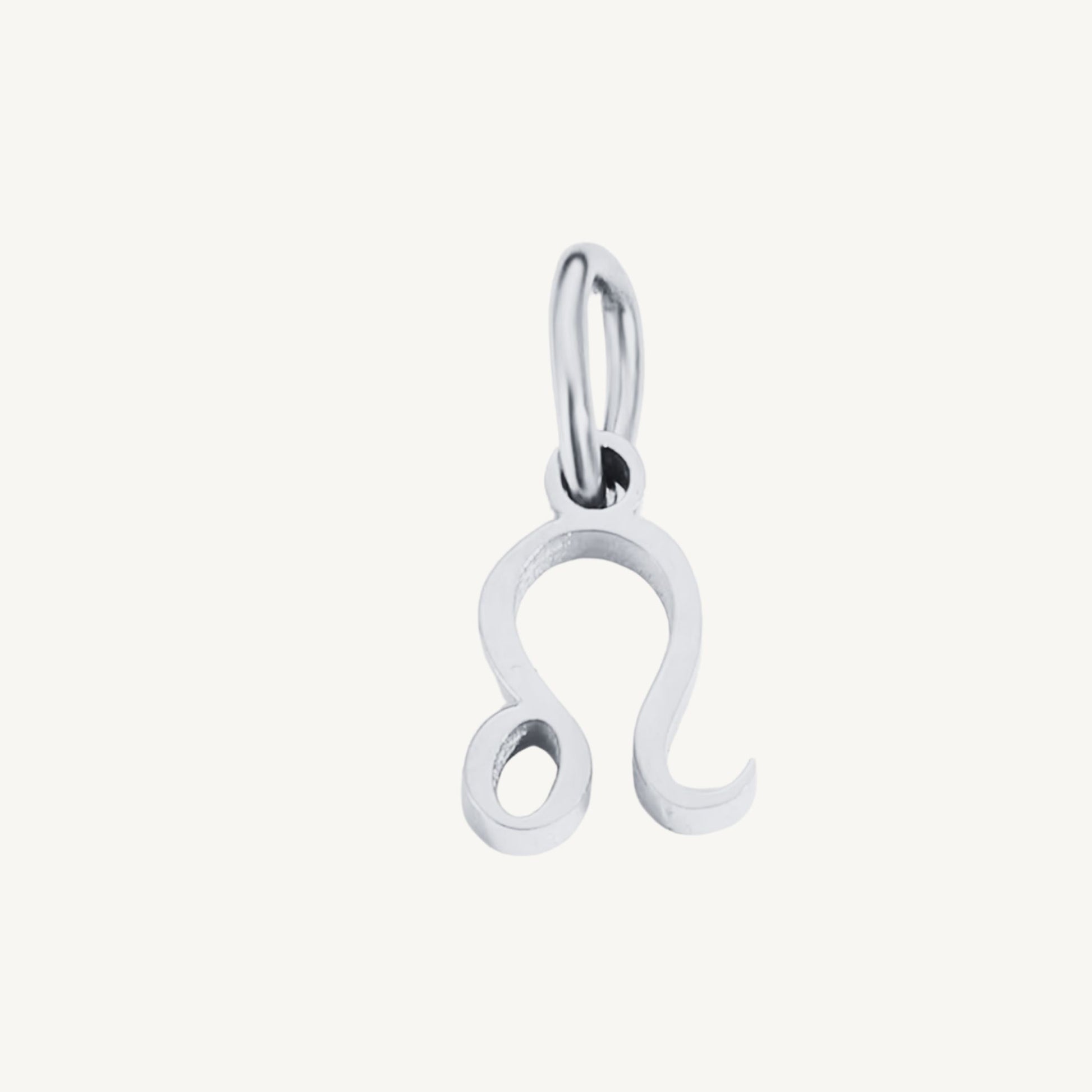 Zodiac Sign Charms