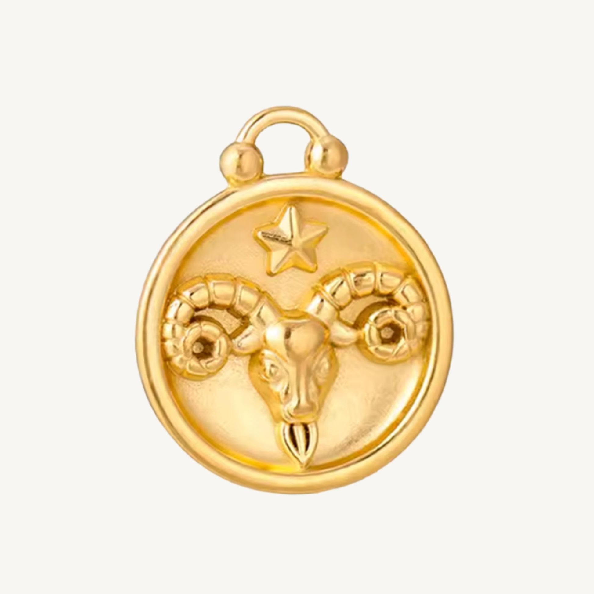 Zodiac Charms