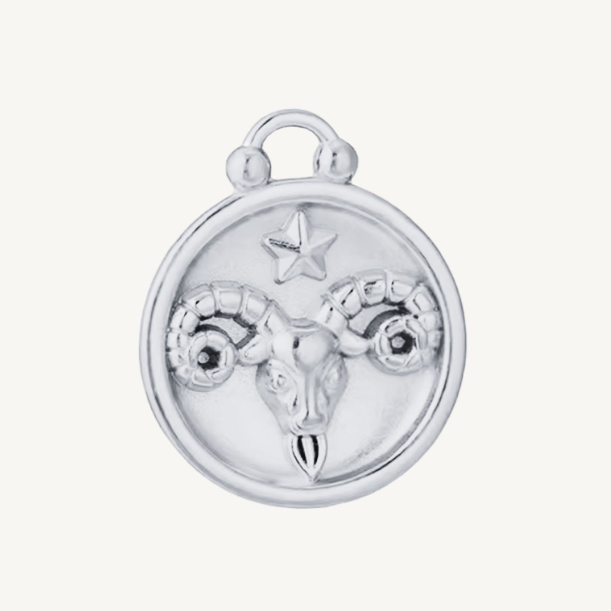 Zodiac Charms