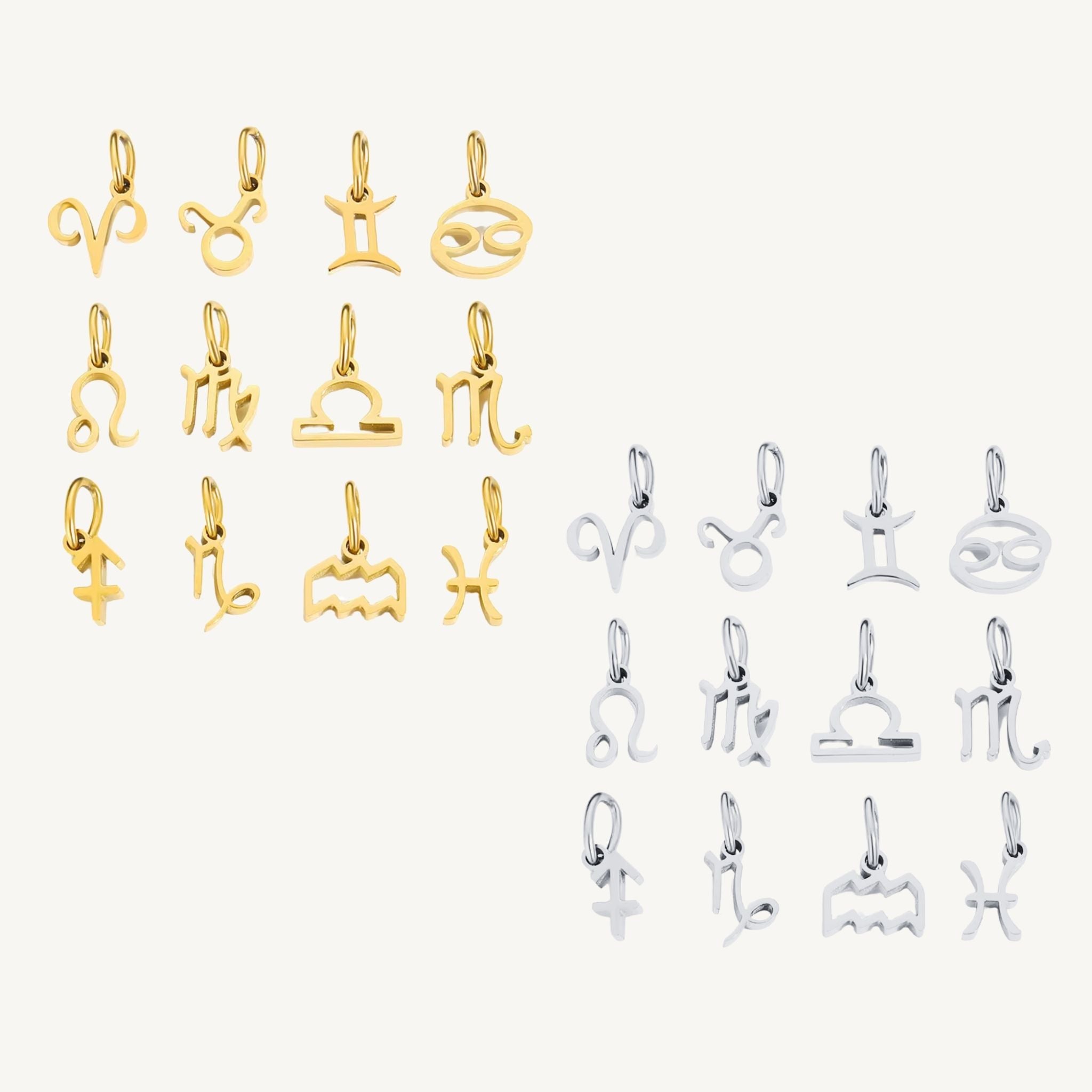 Zodiac Sign Charms