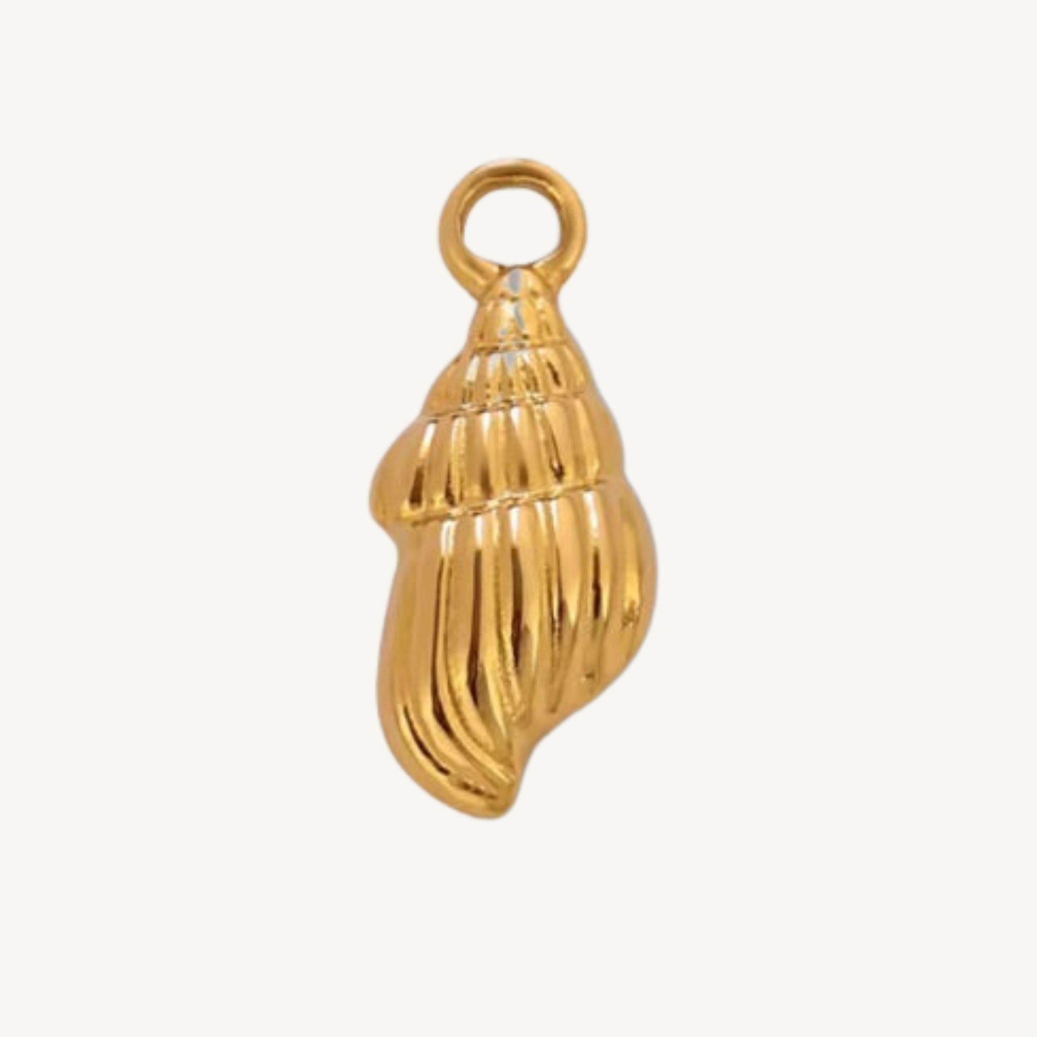 Shell Charms